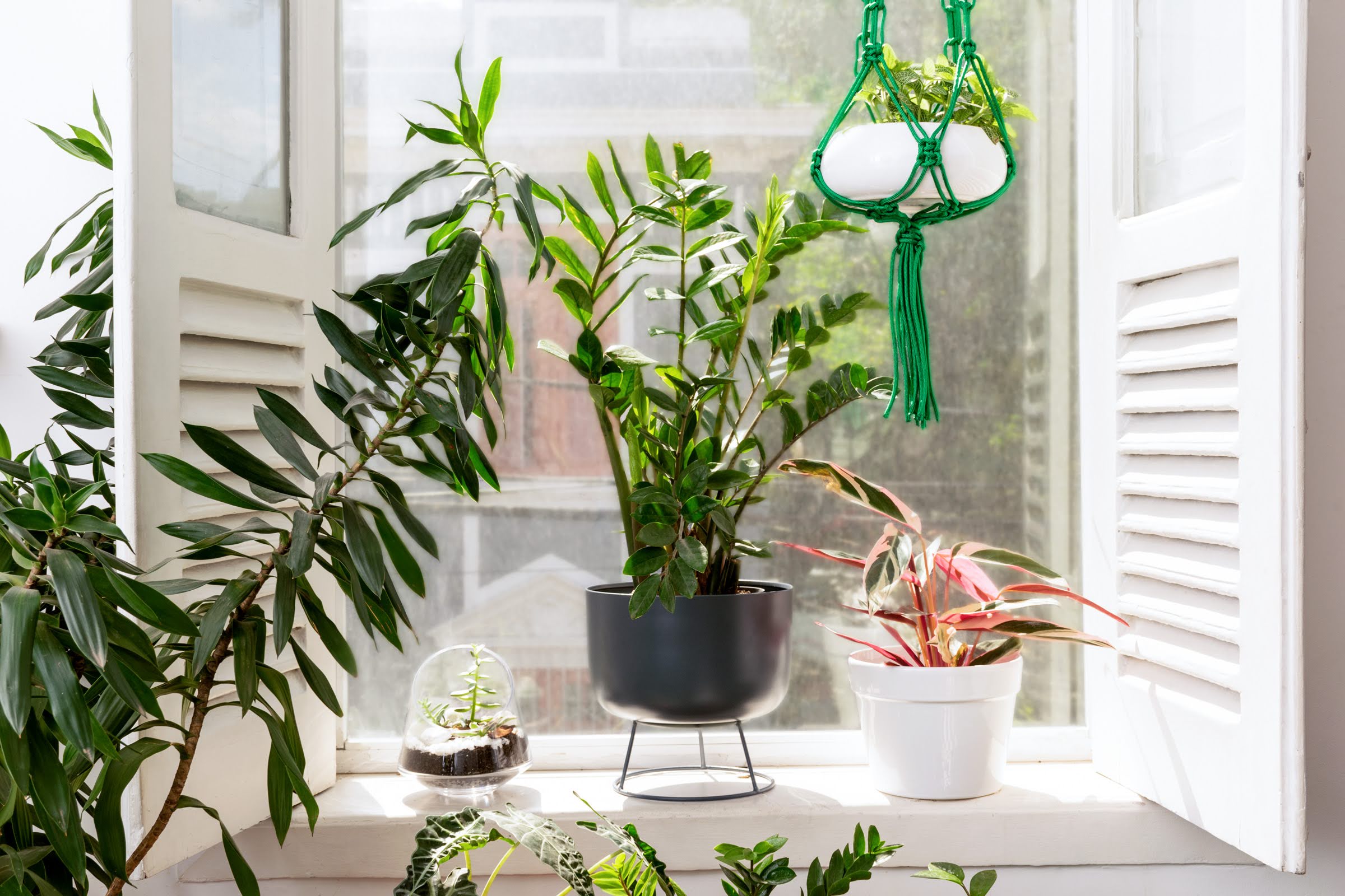 Na janela de uma casa se encontram algumas plantas e vasos, dentre eles um vaso de metal chumbo, um vaso branco e um terrário.