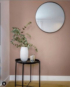 Hall de entrada em tons rose, com uma mesa de apoio preta do lado esquerdo, sobre ela estão dois cachepots e um vaso com planta. Na parede há um espelho redondo. 